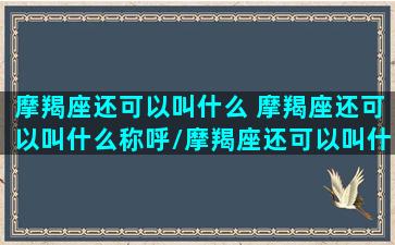 摩羯座还可以叫什么 摩羯座还可以叫什么称呼/摩羯座还可以叫什么 摩羯座还可以叫什么称呼-我的网站